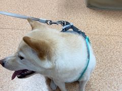 -宠颐生中康贝怡动物医院
