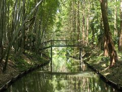 -同里国家湿地公园