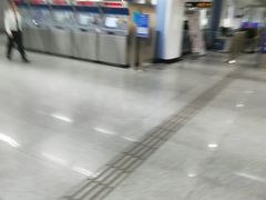 -陆家浜路(地铁站)