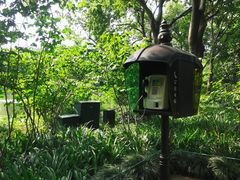 -西湖外事游船(花港观鱼码头)