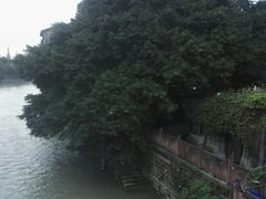 -成都市活水公园