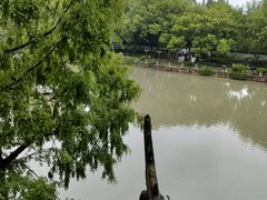 -汇龙潭
