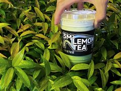 -方腻·3平方柠檬茶