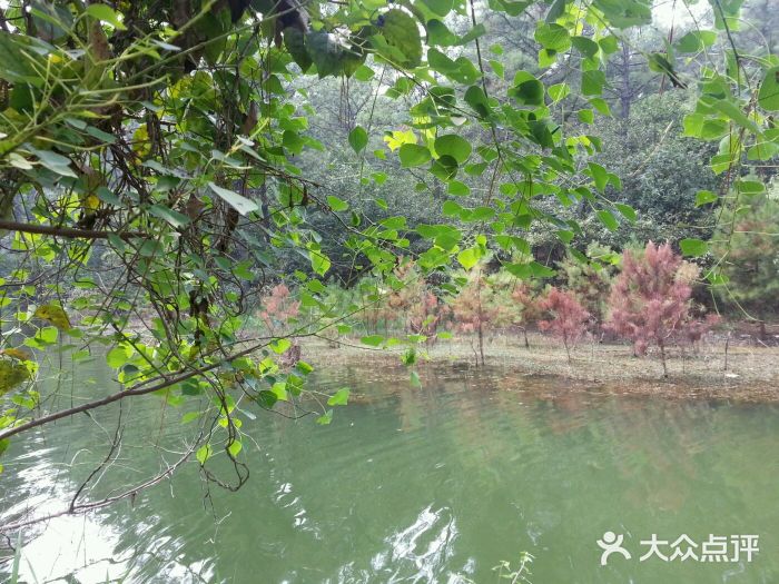 銅山湖國家森林公園圖片