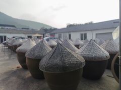 -苏州市吴中区光福窑上花果蜜饯厂