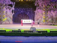 -灵玲国际马戏城