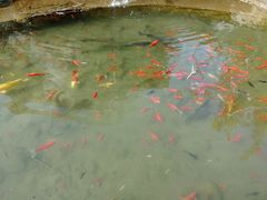 -盛世南宫影视城(北普陀影视城)