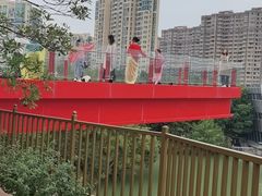 -青枫公园