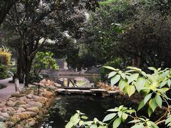 -成都市活水公园