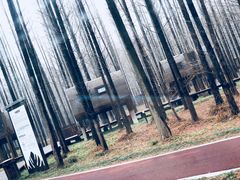 野炊屋-黄海国家森林公园