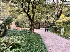 -普陀山风景区-佛顶山