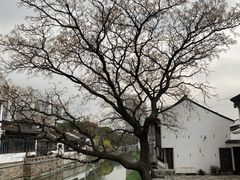 -青果巷历史文化街区