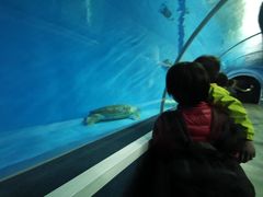 -北戴河圣蓝海洋公园