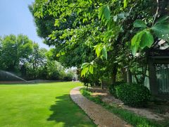 -五洲咖啡厅(五洲大酒店)