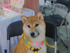 -瑞光创意工厂