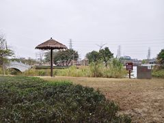 -王借岗森林公园