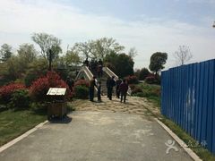 -桃花岛景观公园
