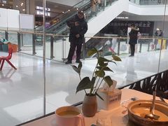 -眉州东坡(华联万柳店)