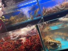 -苏格里岛自助烤肉海鲜火锅(成都金牛万达店)