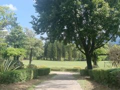 -福建鲤鱼洲酒店