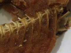 -金鹏鱼肉馆