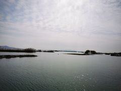 -太湖湖滨国家湿地公园-停车场