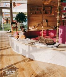 -萌宠亲子动物乐园(槐房万达店)