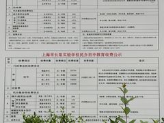 -上海市长阳实验学校