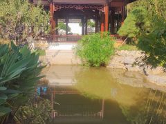 -上海滨江森林公园