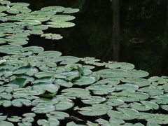 -同里国家湿地公园