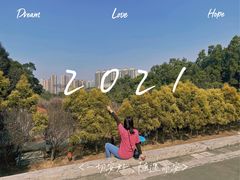 -中山市树木园