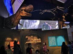 -贝林大翅鲸简餐厅(国家海洋博物馆店)