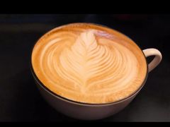 -TAURUS CANAL托瑞斯(衡山路店)