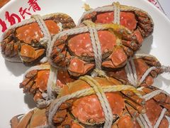 -杨氏青龙虾·羊蝎子(金盛路总店)