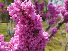 -白塘生态植物园