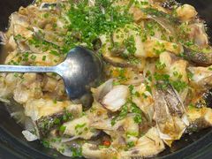 -杨厨的田园饭店(长城路店)