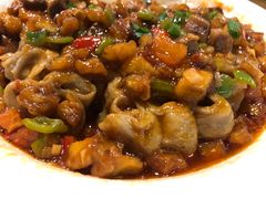 -老阿妈蒙古村·蒙古包·草原文化·歌舞表演(老君堂店)