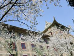 -武汉大学-樱园