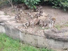 -宁波野生动物园