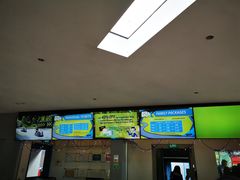 -圣淘沙天际线斜坡滑车