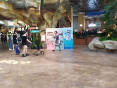 -杭州开元森泊度假乐园