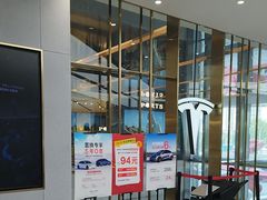-TESLA 特斯拉(郑州正弘城体验店)