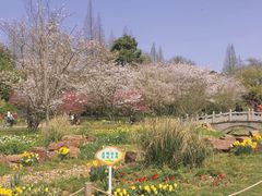-苏州上方山国家森林公园