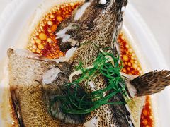 清蒸深海石斑鱼-喜家港式茶餐厅(三亚湾一丰禾生活广场店)