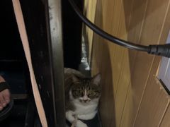 -京门活鱼馆·鱼火锅(百子湾（原红庙）店)