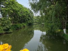 -昆山城市生态森林公园