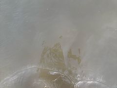 -碧海金沙