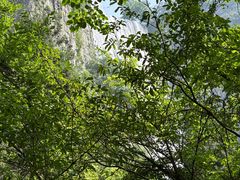 -刘伯温故里景区百丈漈