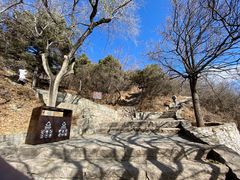 -香山公园