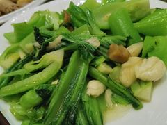 生炒水东芥-瑞记湛江鸡饭店·粤西第一鸡(粤垦店)